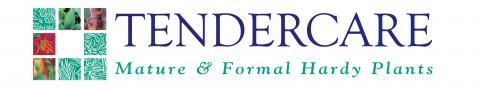 Tendercare Designs Logo